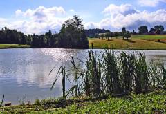 Grossansicht in neuem Fenster: Weiher InThal