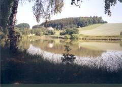 Erlensee